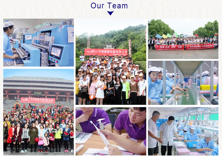 Seago Sonic Toothbrush