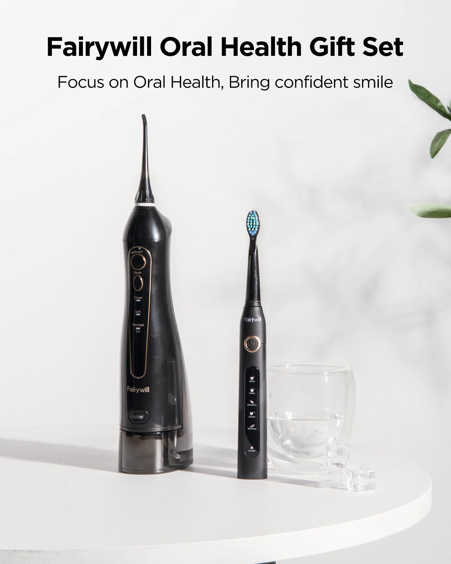 Oral Jet 300 Flosser