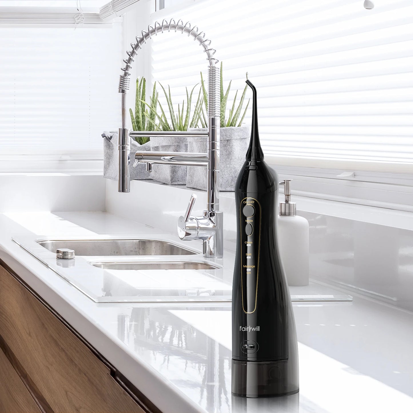 Oral Jet 300 Flosser