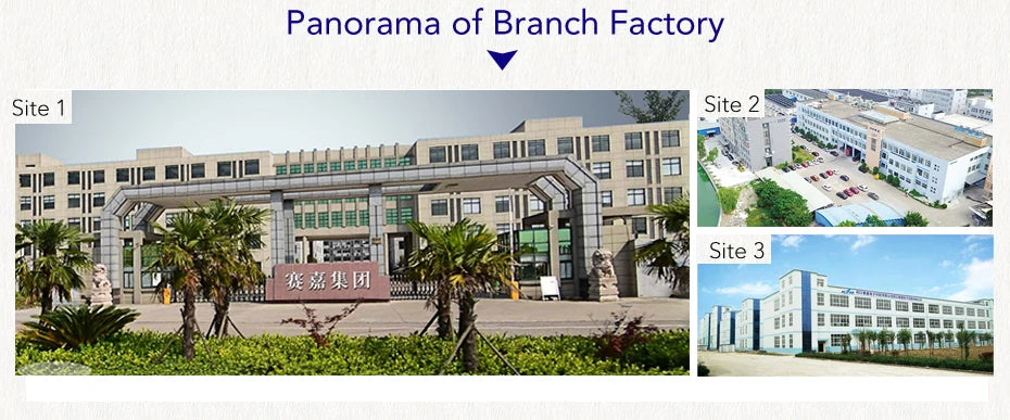 Seago Sonic Toothbrush