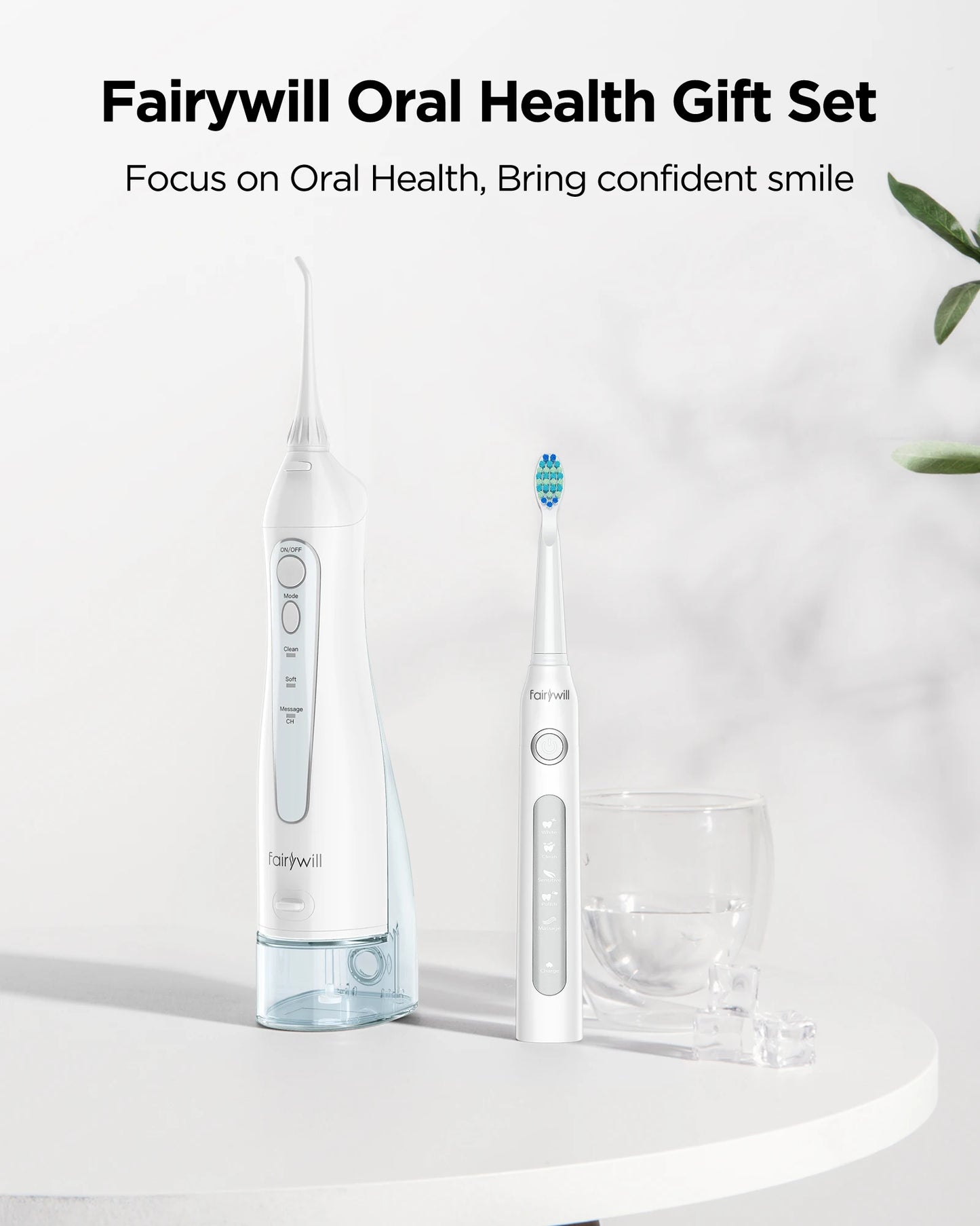 Oral Jet 300 Flosser