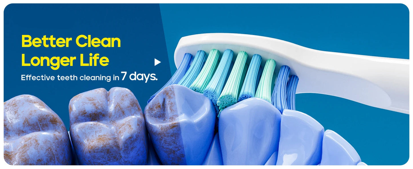 Seago Sonic Toothbrush